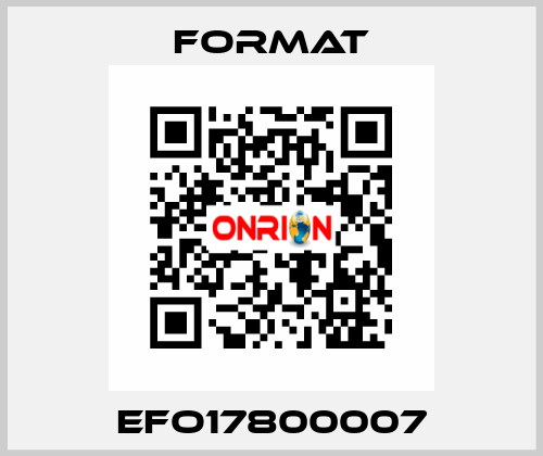 EFO17800007 Format