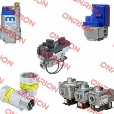 RV20LM  Rp 1/4 Maxitrol