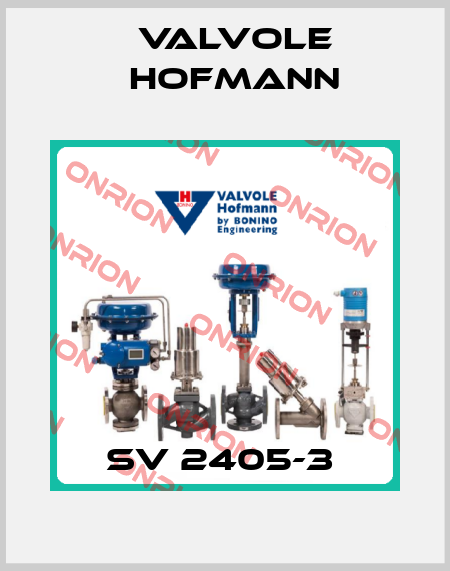 SV 2405-3  Valvole Hofmann