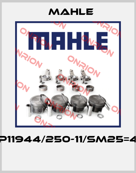 P11944/250-11/SM25=4  MAHLE