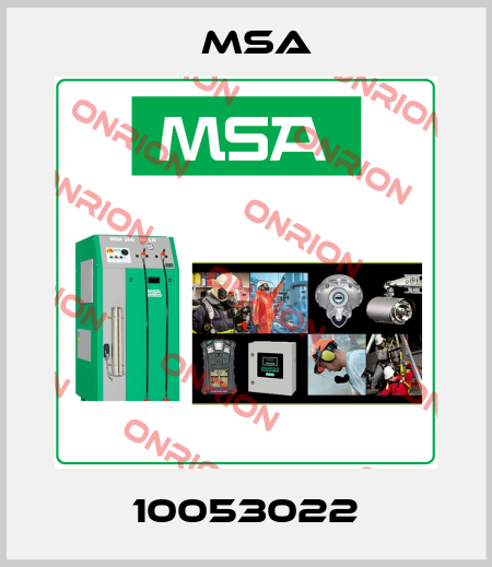 10053022 Msa