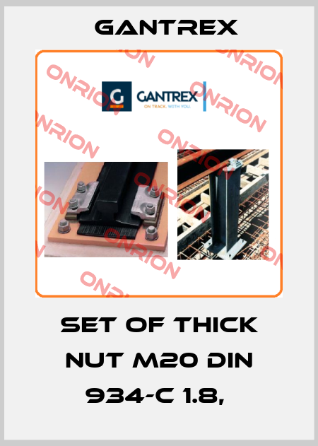 Set of thick nut M20 Din 934-c 1.8,  Gantrex