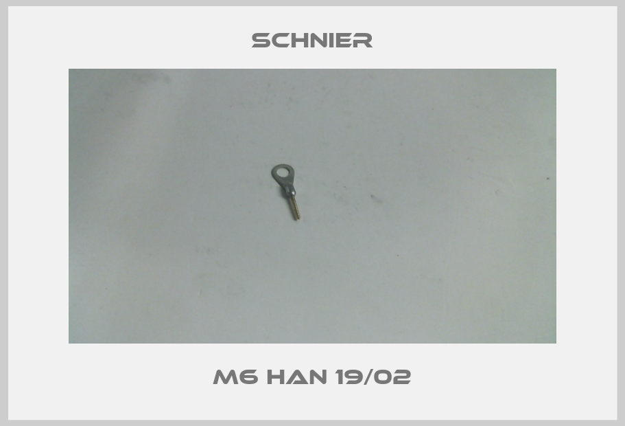 SCHNIER-M6 HAN 19/02  price