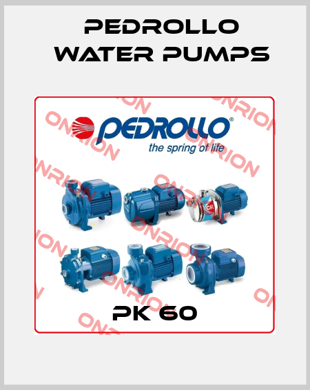 PK 60 Pedrollo Water Pumps
