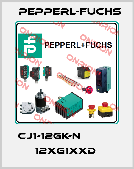 CJ1-12GK-N            12xG1xxD  Pepperl-Fuchs
