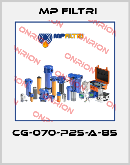 CG-070-P25-A-85  MP Filtri