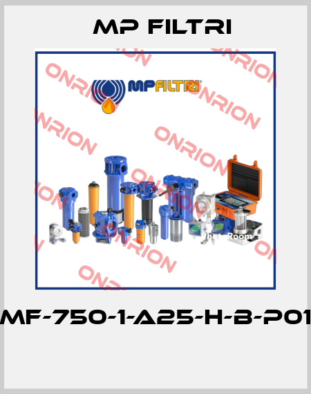 MF-750-1-A25-H-B-P01  MP Filtri