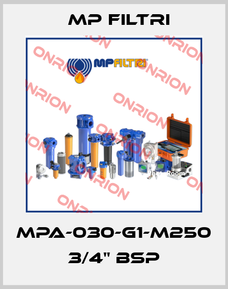 MPA-030-G1-M250   3/4" BSP MP Filtri