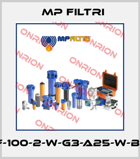 MPF-100-2-W-G3-A25-W-B-P01 MP Filtri