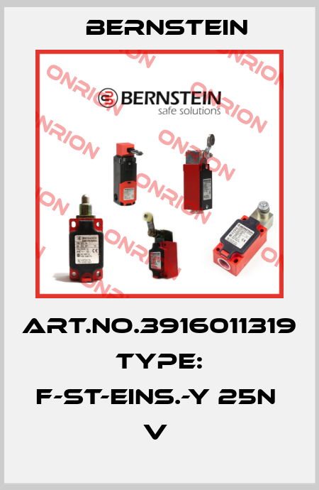 Art.No.3916011319 Type: F-ST-EINS.-Y 25N             V  Bernstein