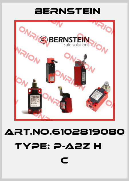 Art.No.6102819080 Type: P-A2Z H                      C Bernstein