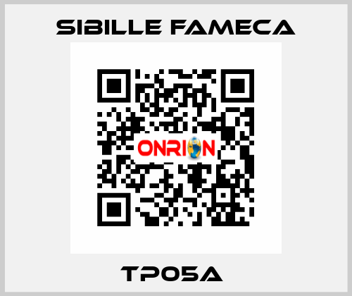 TP05A  Sibille Fameca