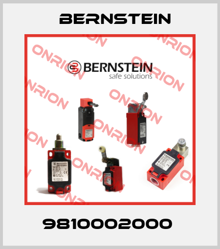 9810002000  Bernstein