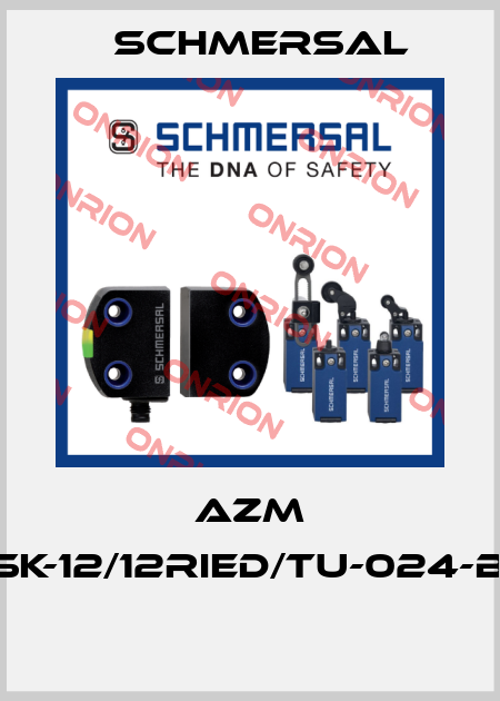 AZM 161SK-12/12RIED/TU-024-B6R  Schmersal
