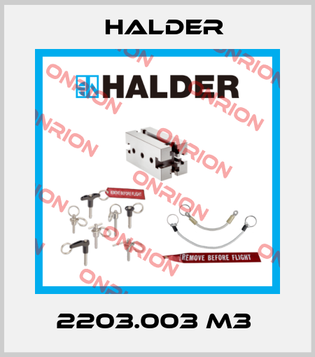 2203.003 M3  Halder