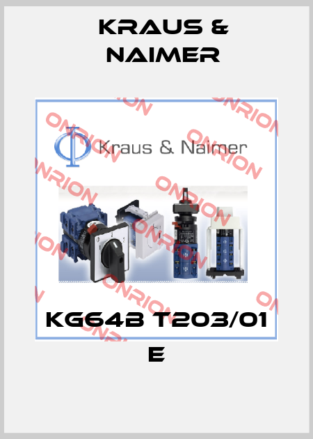 KG64B T203/01 E Kraus & Naimer