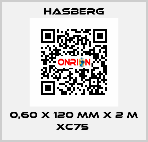 0,60 X 120 MM X 2 M XC75  Hasberg