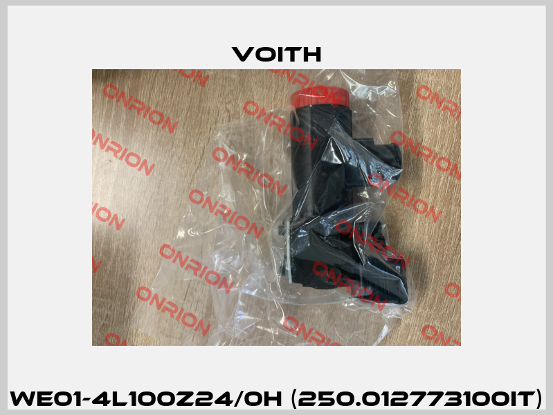 WE01-4L100Z24/0H (250.012773100IT) Voith