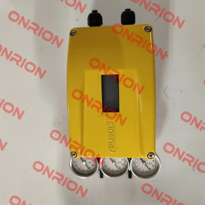 APIS-/2X/0/D00/RSt/T20/P3/M2/W1/A0 Aplisens