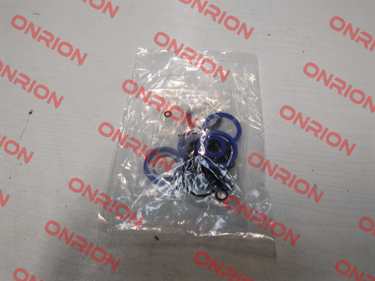 repair kit for 40RPE100NO Enerfluid