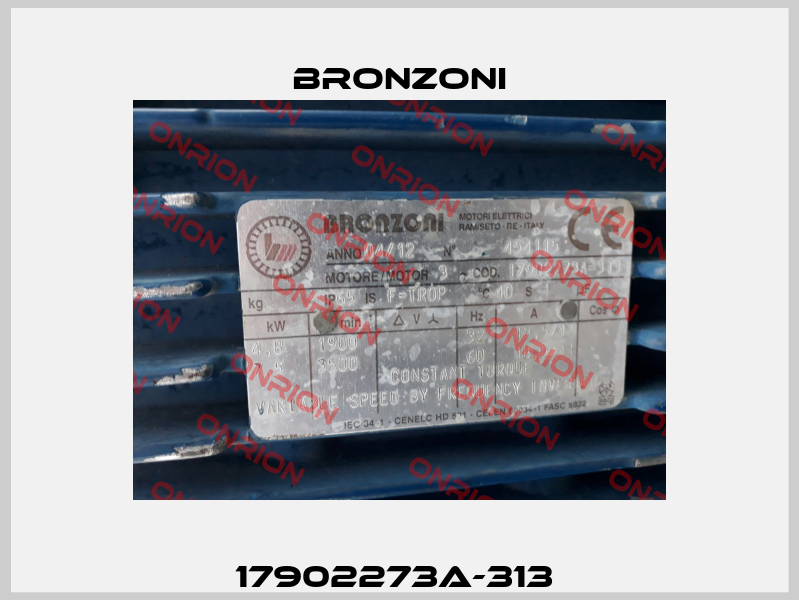 17902273A-313  Bronzoni