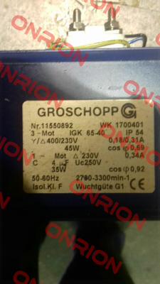 11550892 IGK 65-40 Groschopp