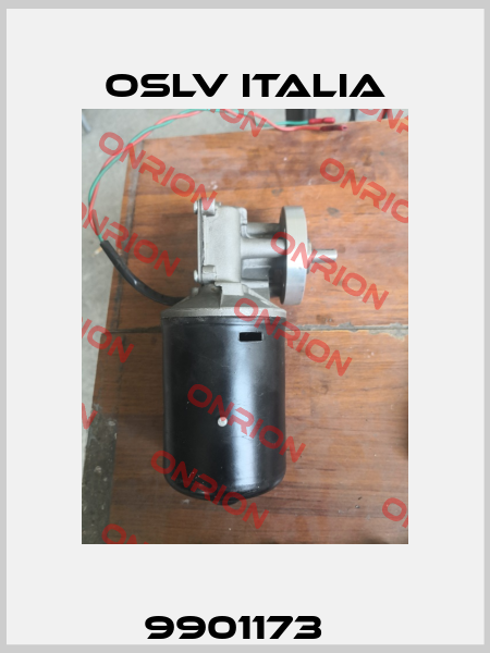 9901173   OSLV Italia