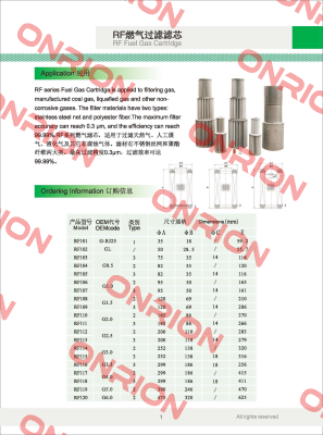 G2.0 Filtering Element Fiorentini