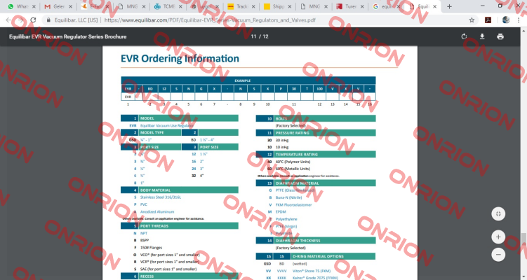 EVR- GSD6SNGX-NSX30T60FXVV Equilibar