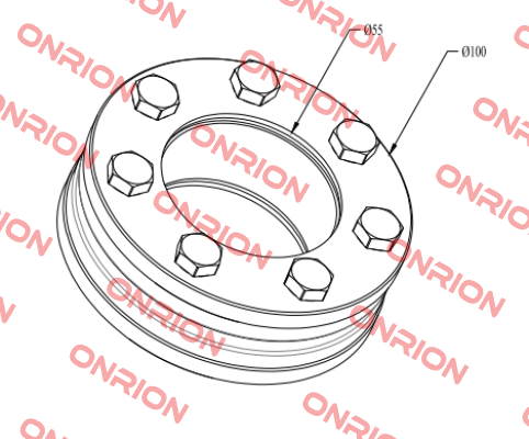 RFN4061 55X100 Ringfeder