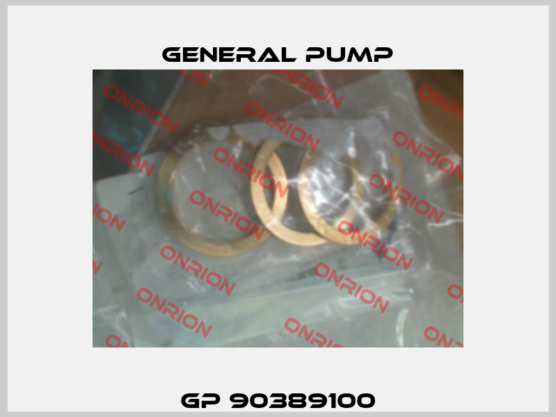 GP 90389100 General Pump