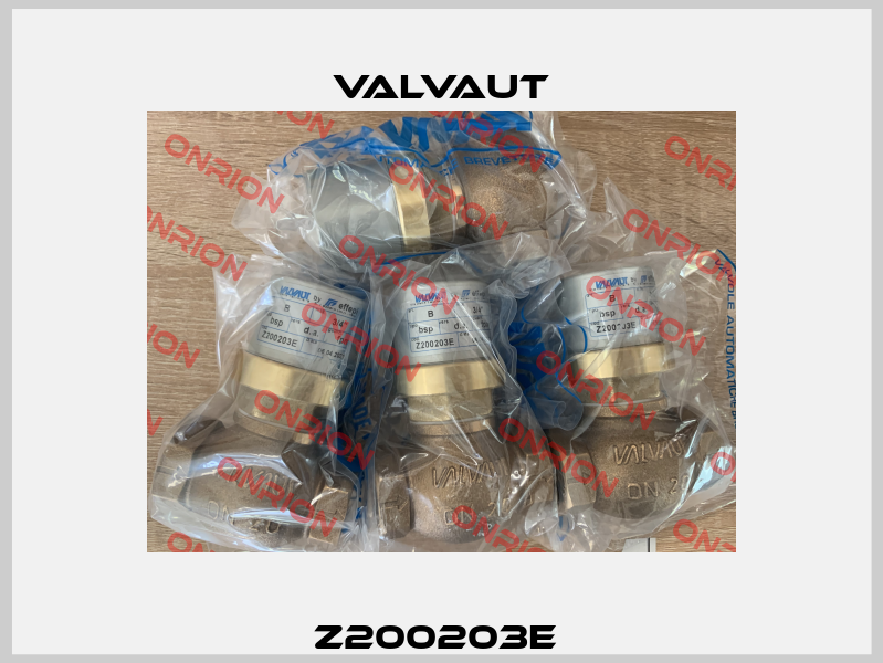 Z200203E  Valvaut