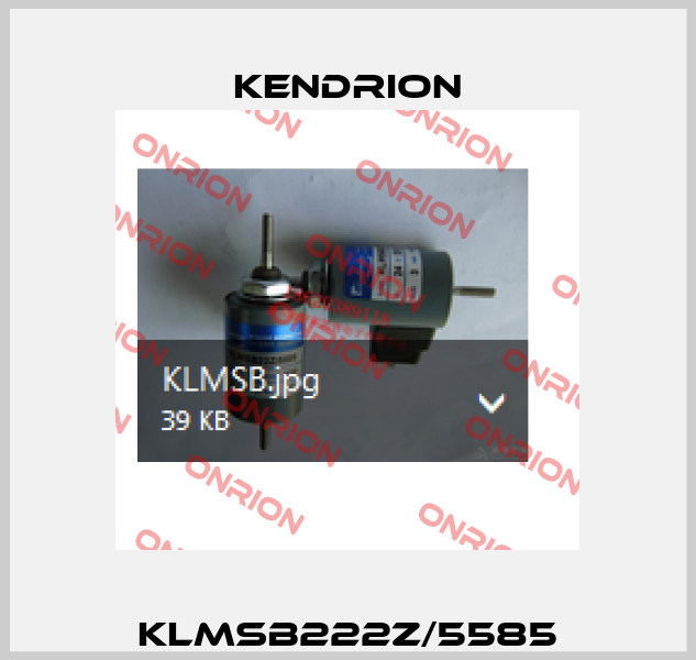 KLMSB222Z/5585 Kendrion