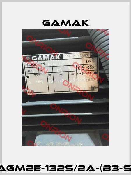 AGM2E-132S/2a-(B3-S) Gamak