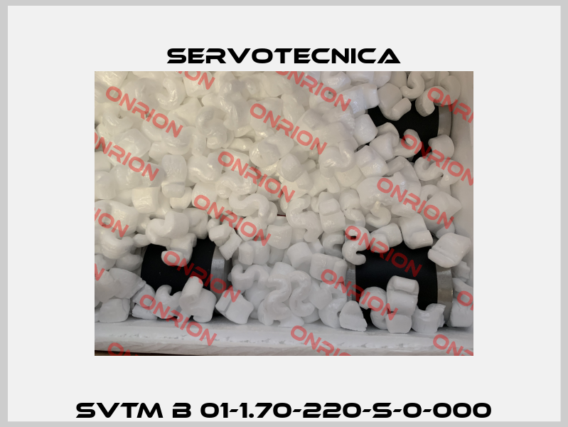 SVTM B 01-1.70-220-S-0-000 Servotecnica