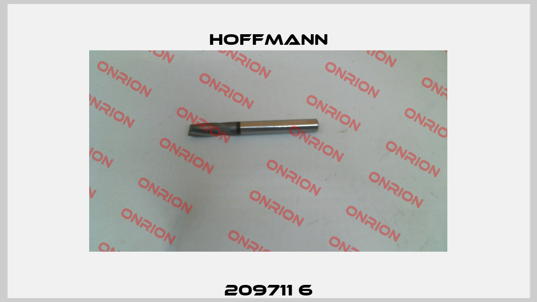 209711 6 Hoffmann
