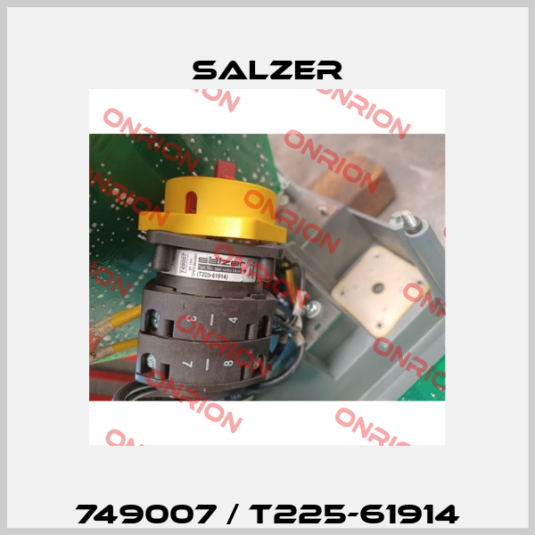 749007 / T225-61914 Salzer