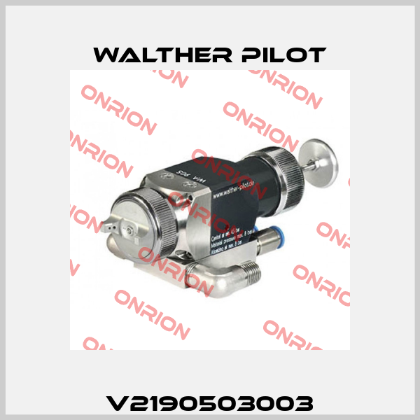 V2190503003 Walther Pilot