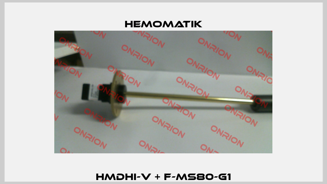 HMDHI-V + F-MS80-G1 Hemomatik