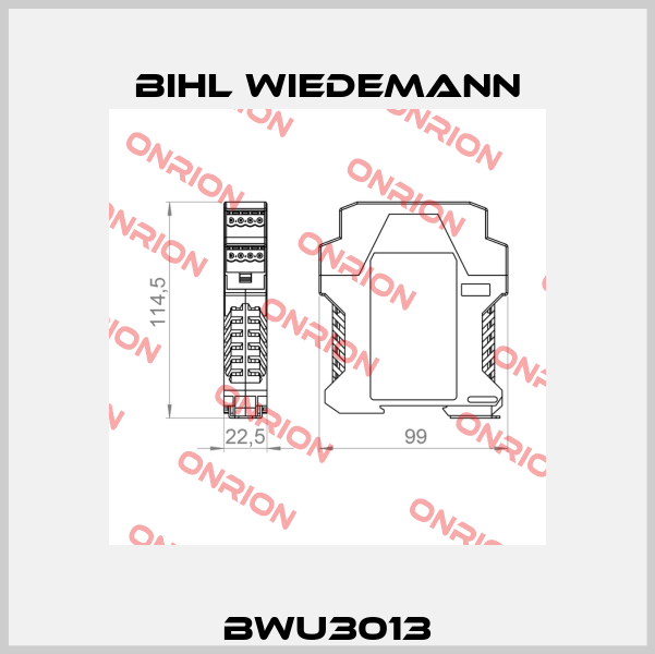 BWU3013 Bihl Wiedemann
