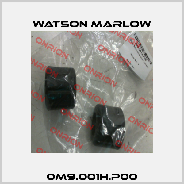 0M9.001H.P00 Watson Marlow