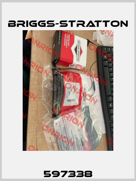 597338 Briggs-Stratton