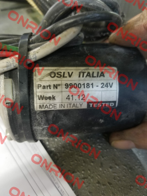 9900181 OSLV Italia